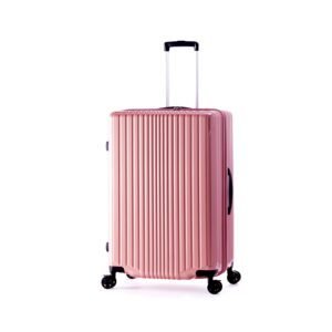 Check-In Medium Luggage FiLPake