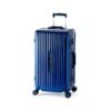 Check-In Medium Luggage Granmax Trunk