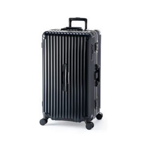 Check-In Large Luggage Granmax Trunk